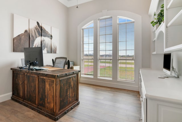 office featuring light wood-style flooring