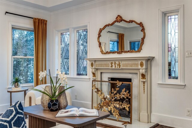 living area featuring ornamental molding, a fireplace, and baseboards