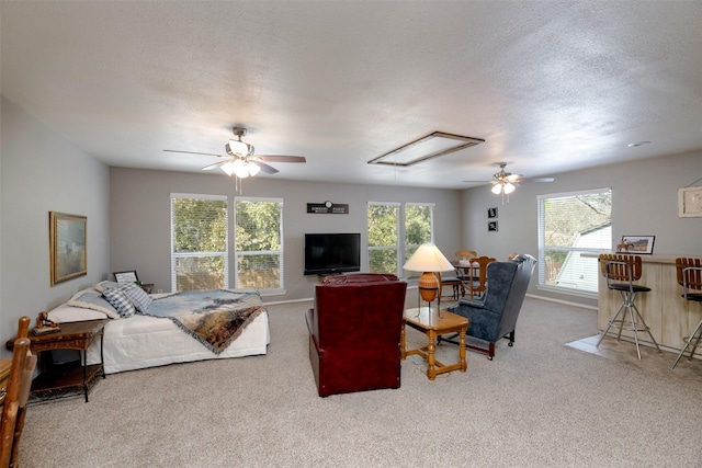 living area with attic access, carpet flooring, ceiling fan, and a textured ceiling