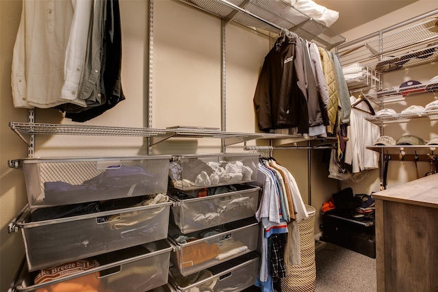 view of spacious closet