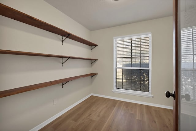 walk in closet featuring wood finished floors