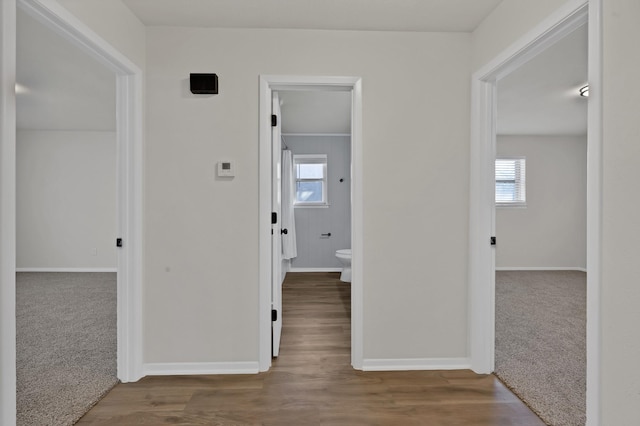 corridor featuring baseboards, carpet, and wood finished floors