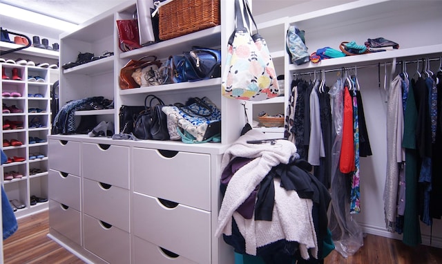 spacious closet featuring wood finished floors