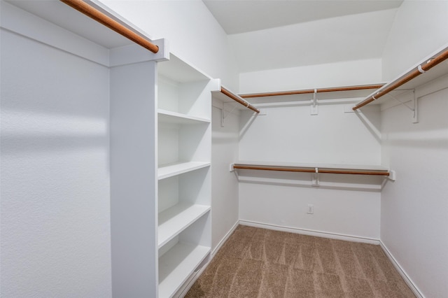 spacious closet with carpet