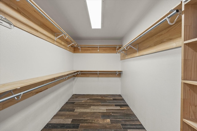 spacious closet featuring dark wood-type flooring