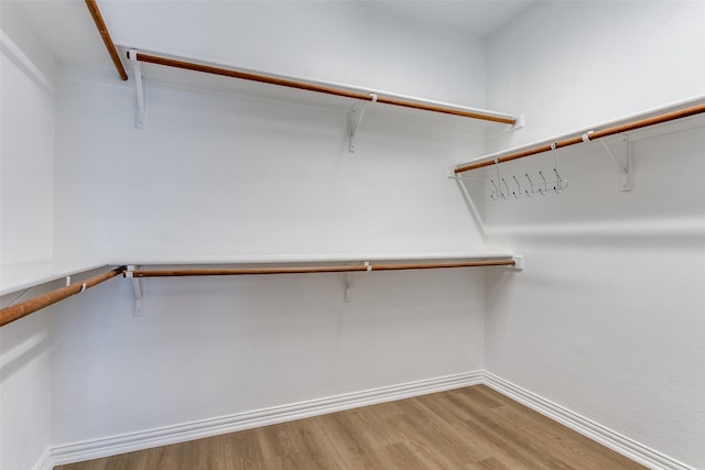 spacious closet featuring light wood-type flooring