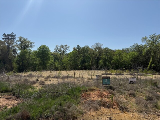 2068 Redemption Dr, Weatherford, TX 76088