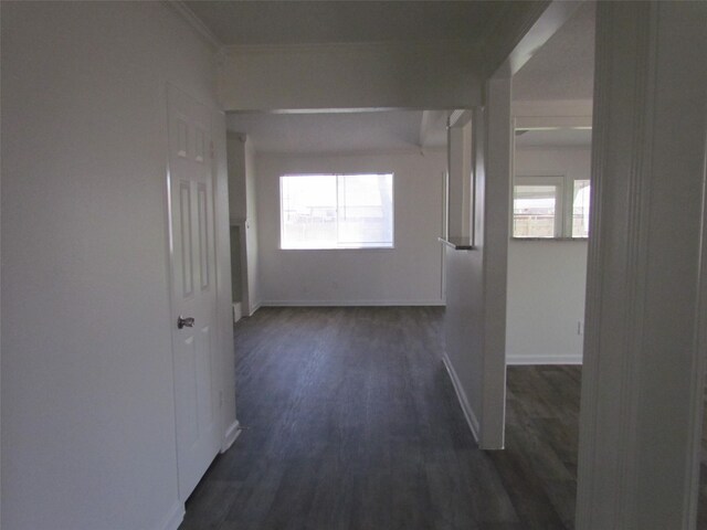 corridor featuring plenty of natural light, baseboards, and dark wood-style flooring