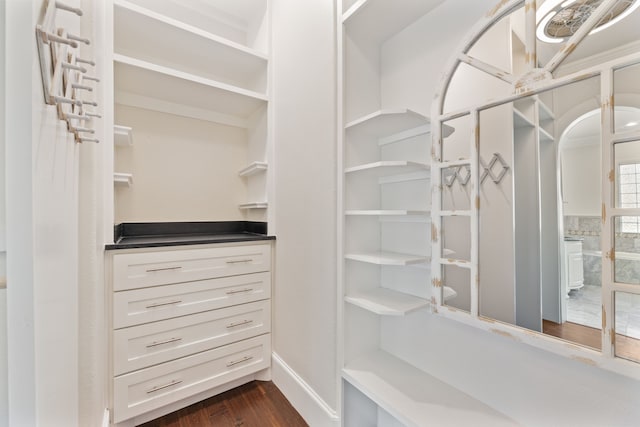 walk in closet featuring dark wood-style floors