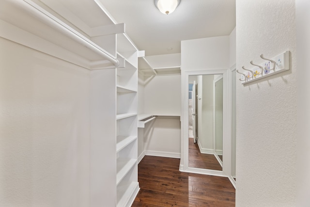 walk in closet featuring hardwood / wood-style flooring