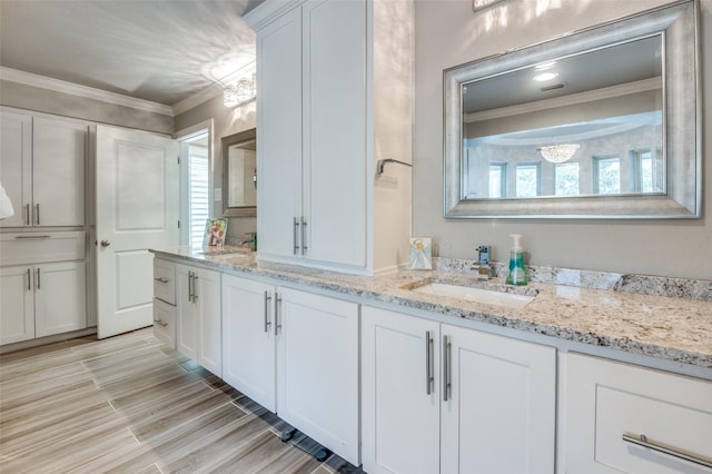 bathroom featuring wood finish floors, crown molding, and vanity