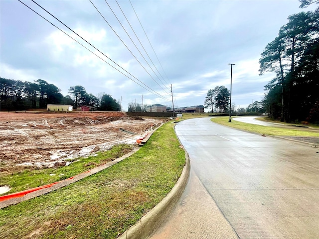 view of road with curbs