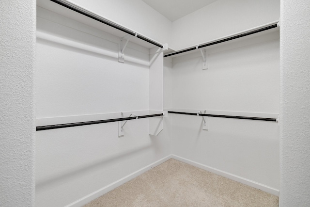 1536 Wolfberry Ln, Northlake, TX 76226 - spacious closet featuring carpet