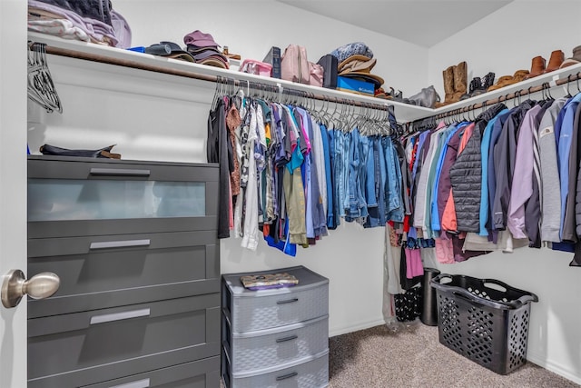 walk in closet featuring carpet