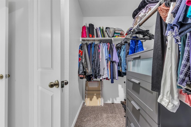 walk in closet featuring carpet floors