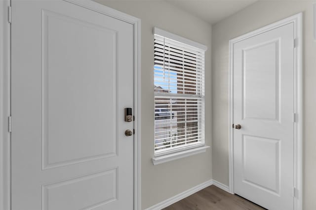 entryway featuring plenty of natural light, wood finished floors, and baseboards