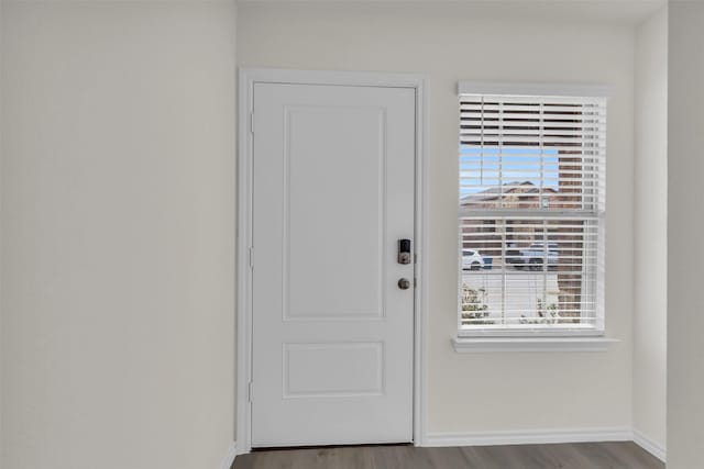 doorway featuring a healthy amount of sunlight, baseboards, and wood finished floors