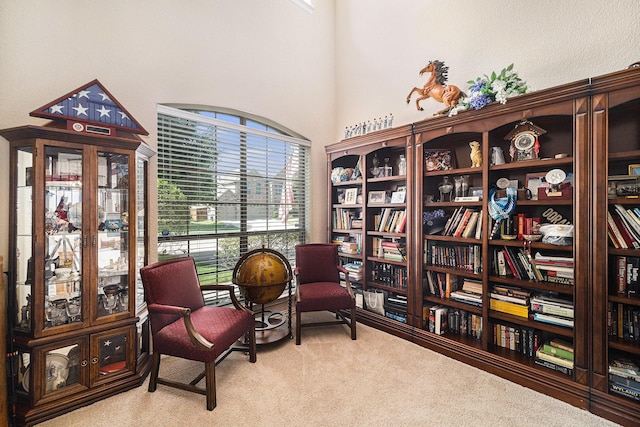 1202 Newcastle St, Roanoke, TX 76262 - sitting room featuring carpet flooring and wall of books