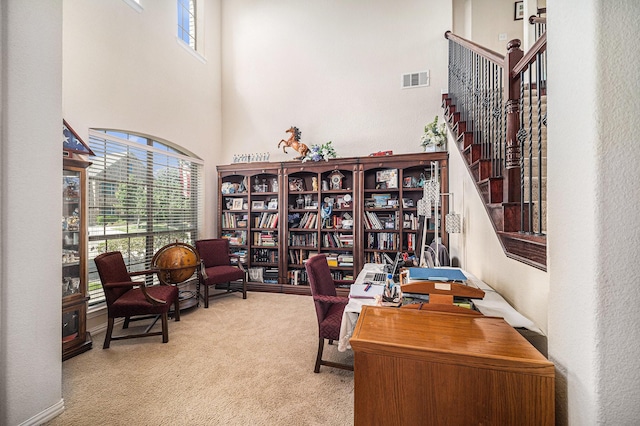 1202 Newcastle St, Roanoke, TX 76262 - office with a towering ceiling and carpet floors