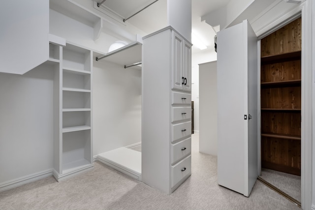 spacious closet with light carpet