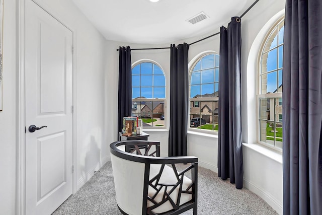 office featuring light carpet, baseboards, and visible vents