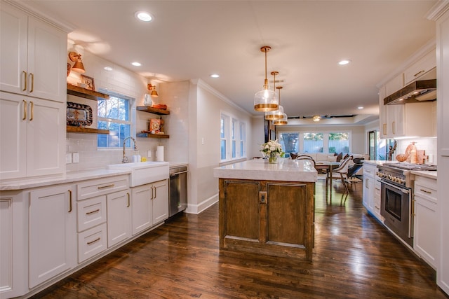 kitchen featuring dark wood-style floors, stainless steel appliances, under cabinet range hood, open shelves, and a sink