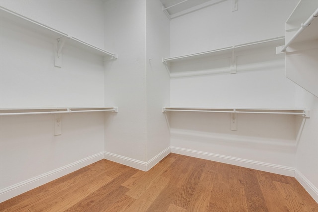 walk in closet featuring wood finished floors