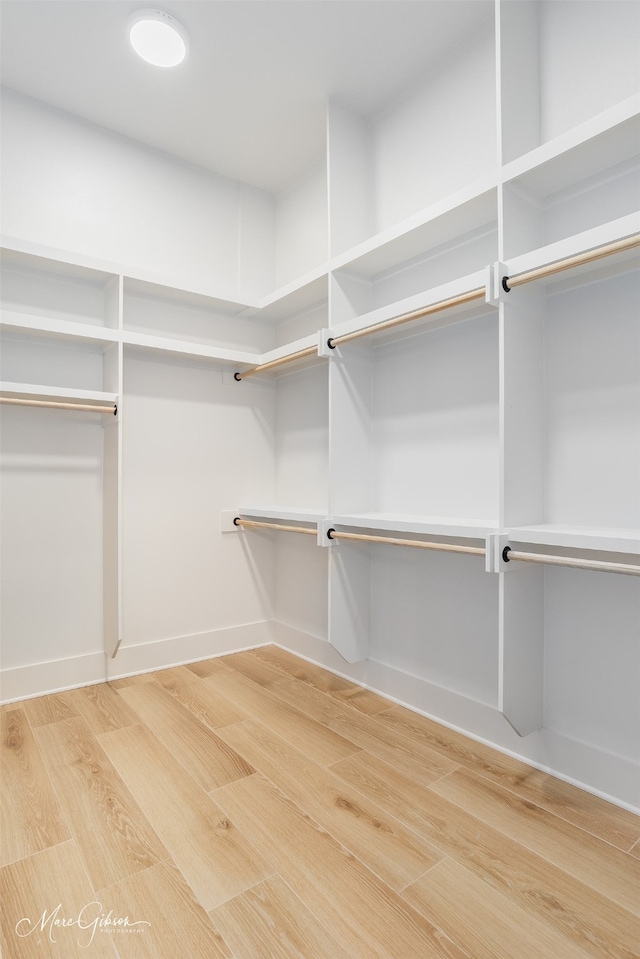 spacious closet featuring light wood-style floors