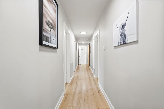 230 Frosty Hollow Rd, Denison, TX 75021 - hallway with light wood finished floors, baseboards, and attic access