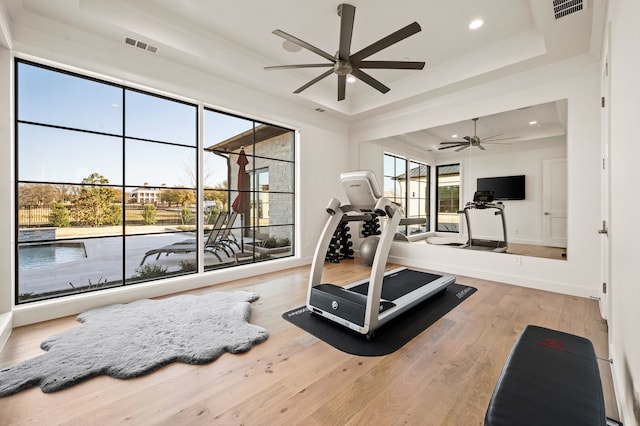 workout area with a tray ceiling, visible vents, wood finished floors, and a ceiling fan