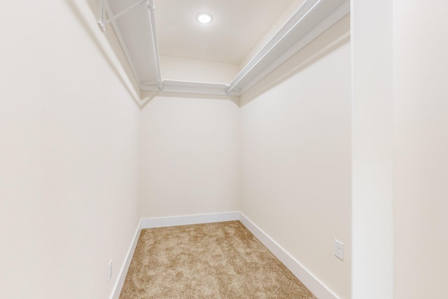 walk in closet with carpet floors