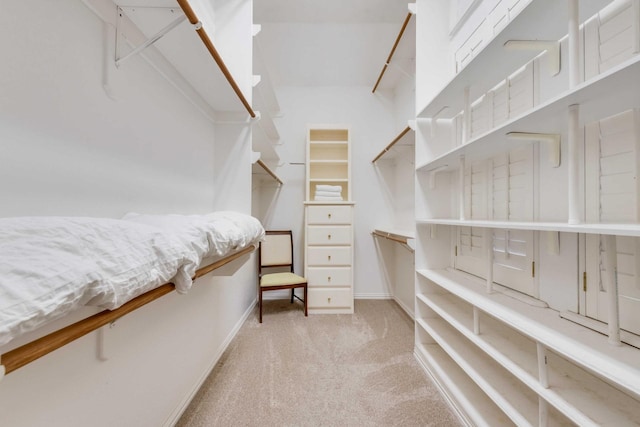 spacious closet with carpet