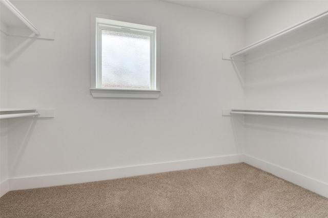 spacious closet with carpet