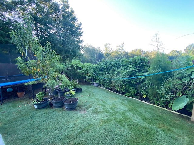 view of yard with a trampoline