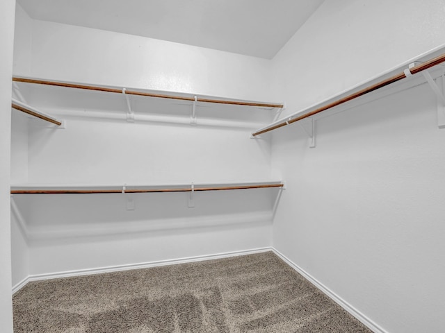 spacious closet with carpet flooring