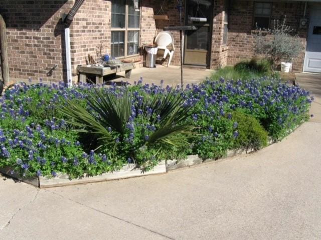 exterior space featuring brick siding