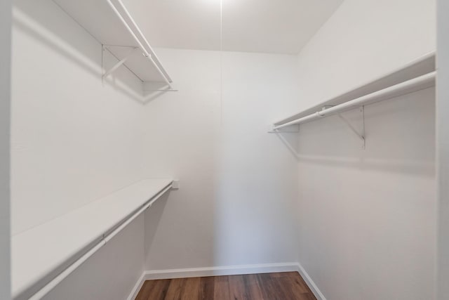 spacious closet with dark wood finished floors