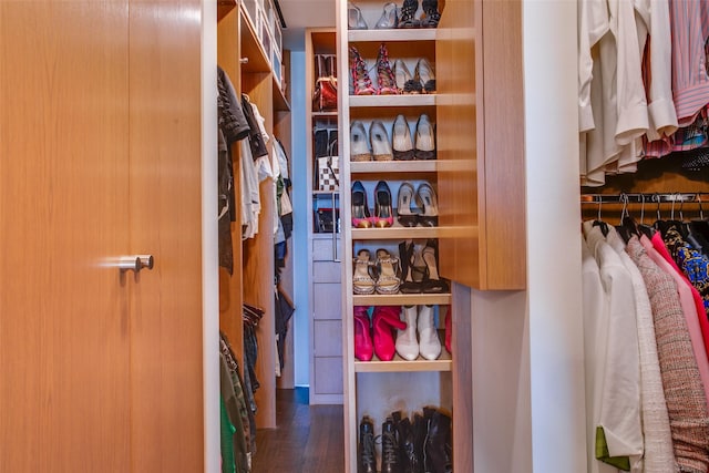 walk in closet featuring wood finished floors