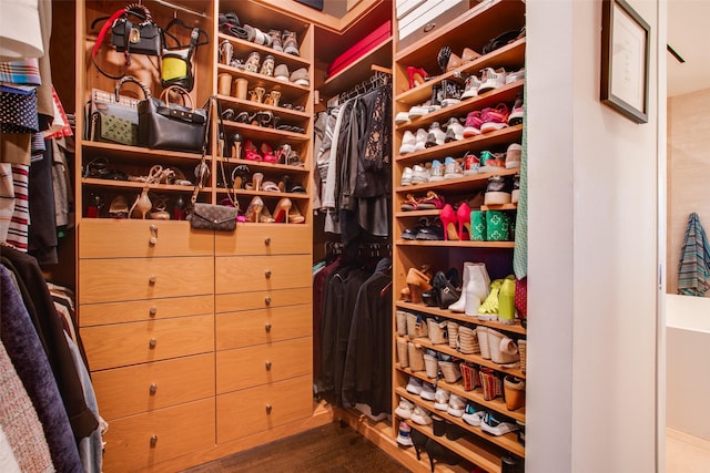 spacious closet featuring dark wood-type flooring