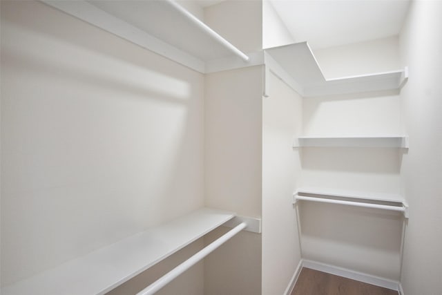 walk in closet featuring wood finished floors