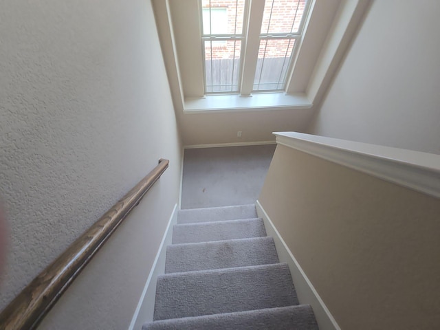 stairway featuring carpet flooring and a textured wall