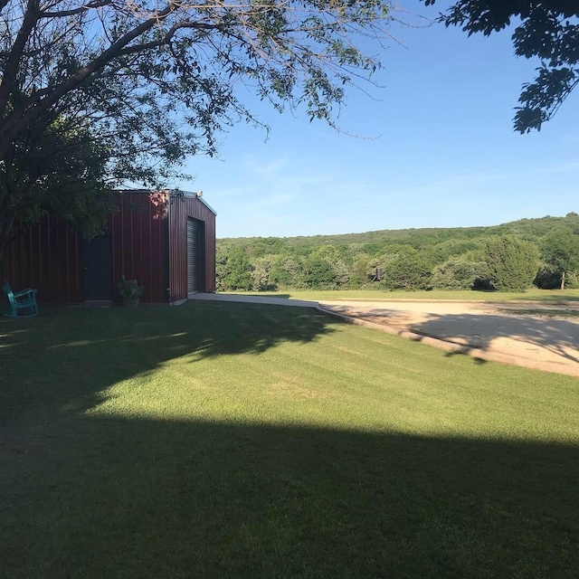 view of yard featuring an outbuilding, a forest view, a detached garage, and driveway