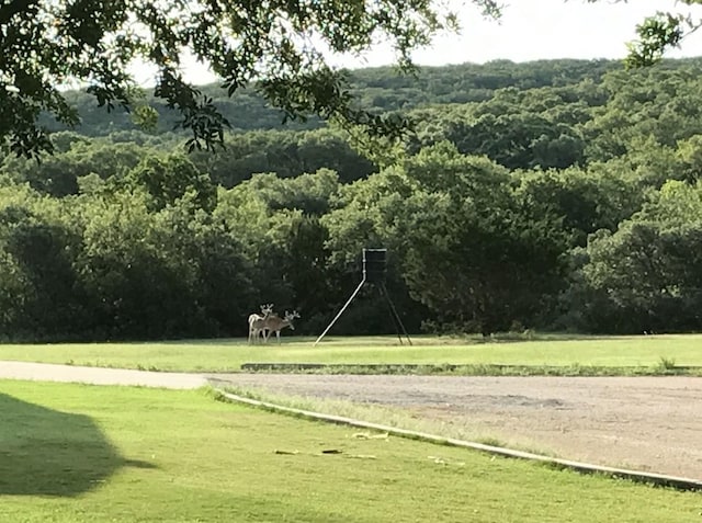 view of home's community with a rural view, a wooded view, and a yard