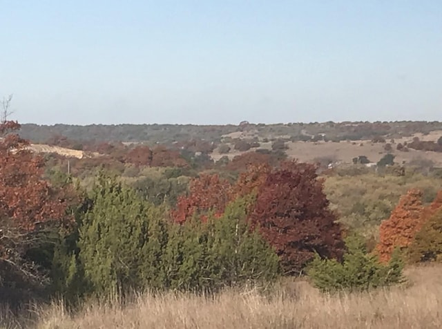 view of landscape