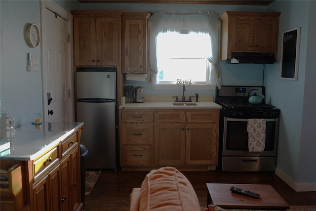 kitchen featuring under cabinet range hood, stainless steel appliances, a sink, baseboards, and dark wood finished floors