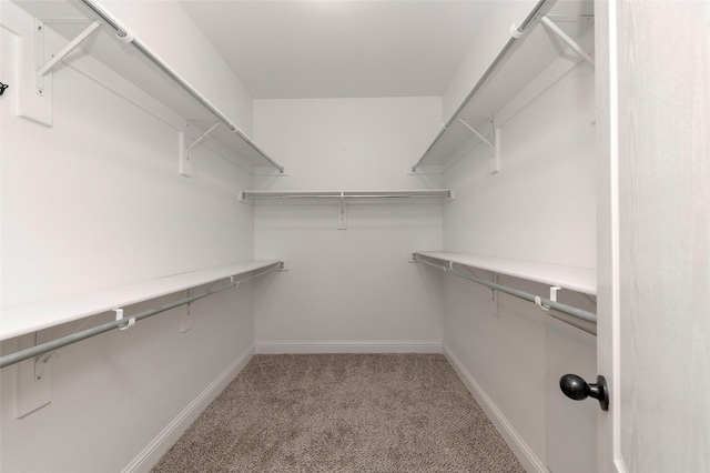 spacious closet featuring light colored carpet