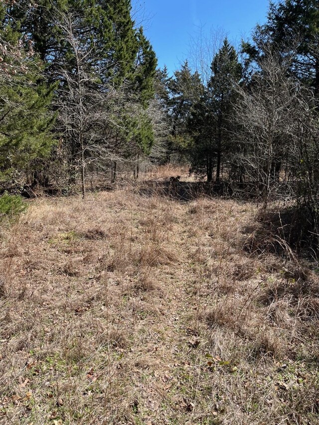 601 Pritchett Ln, Kemp, TX 75143 - view of local wilderness