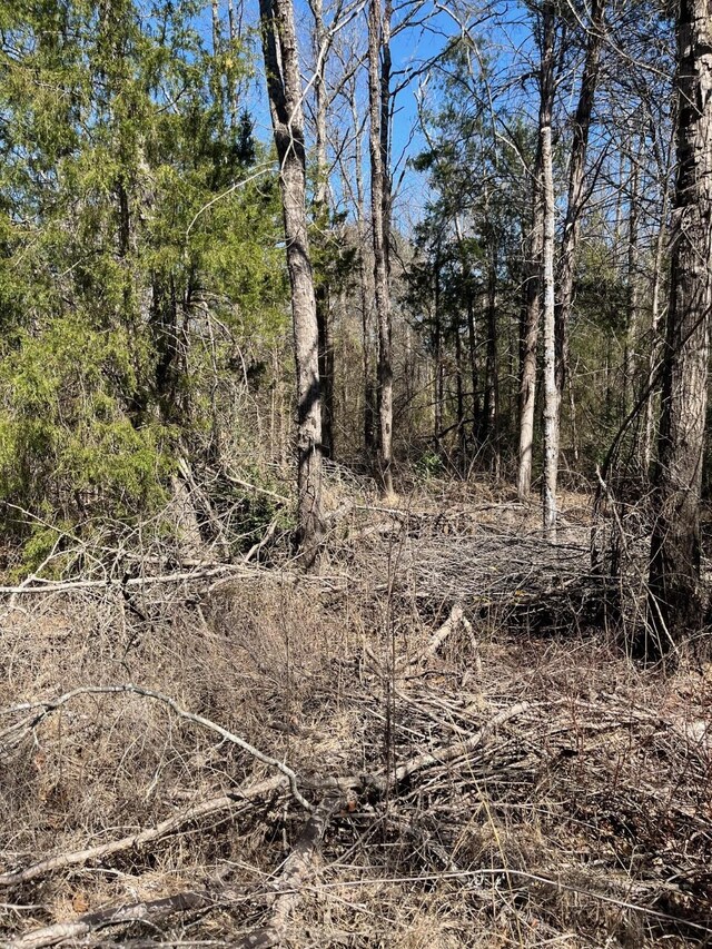601 Pritchett Ln, Kemp, TX 75143 - view of nature