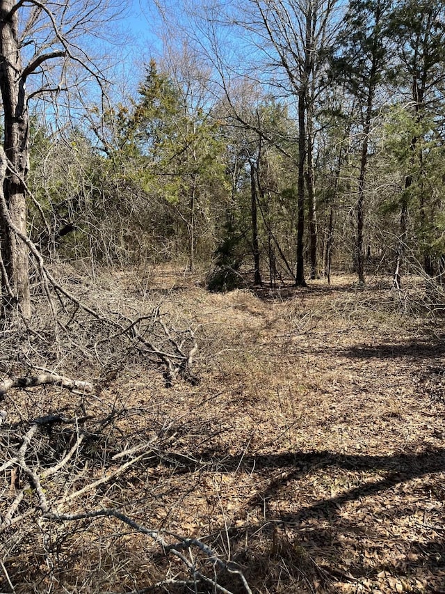 601 Pritchett Ln, Kemp, TX 75143 - view of undeveloped land
