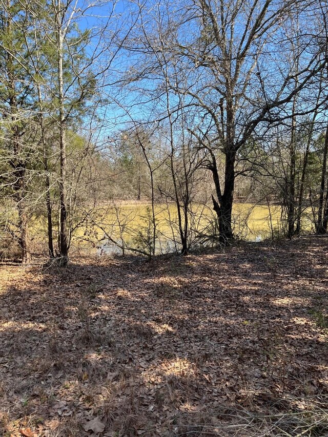 601 Pritchett Ln, Kemp, TX 75143 - view of nature
